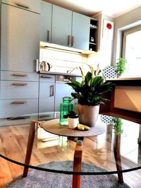 Rostock hautnah erleben - schöne Maisonette 2OG in Rostock